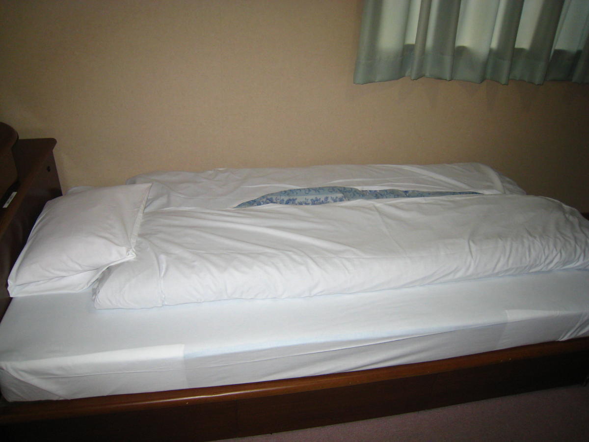 Business Hotel Ojiro Shizuoka Room photo